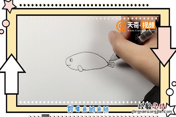 鹦鹉嘴鱼简笔画 鹦嘴鱼简笔画