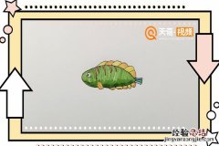 鹦鹉嘴鱼简笔画 鹦嘴鱼简笔画