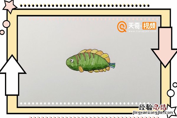 鹦鹉嘴鱼简笔画 鹦嘴鱼简笔画