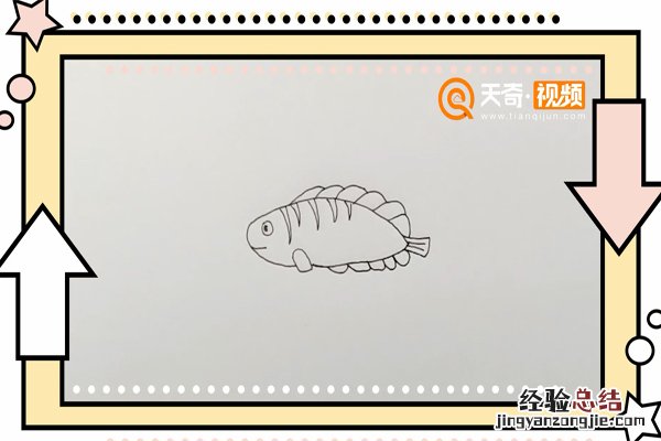 鹦鹉嘴鱼简笔画 鹦嘴鱼简笔画