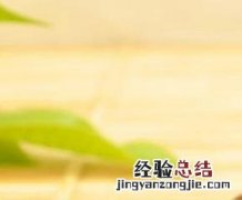淡菜干怎么做菜 淡菜干做法步骤教程