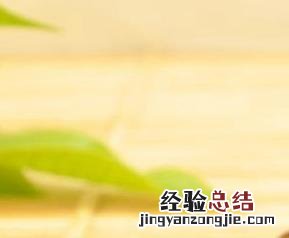 淡菜干怎么做菜 淡菜干做法步骤教程