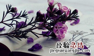 滔滔的拼音 滔滔的拼音及解释