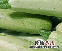 西葫芦的营养价值及功效 西葫芦的营养价值
