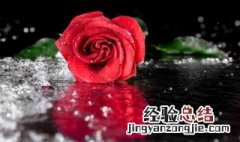 梦见花要开了是什么意思 梦到花开了是什么意思