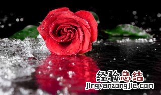 梦见花要开了是什么意思 梦到花开了是什么意思