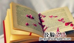 前方高能是什么意思?前方高能是什么梗? 前方高能是什么意思