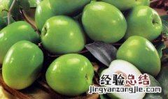青枣的功效与作用是什么 青枣的功效与作用是什么意思