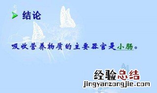 人最重要的吸收器官是什么 人最重要的吸收器官是哪
