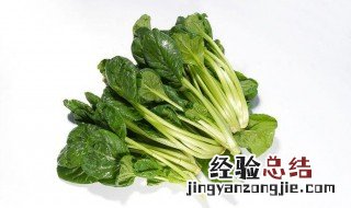 绿色食品指的是颜色是绿色的食物吗 绿色食品指的是颜色是绿色的食物吗