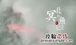 北冥有鱼原文及翻译读音 北冥有鱼原文及翻译古诗网
