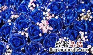 蓝色妖姬花束文案怎么写 蓝色妖姬花束文案