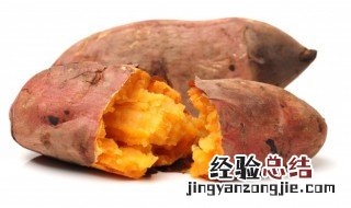 哪个红薯最甜 哪里的红薯最甜最好吃