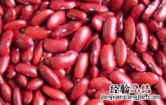 红芸豆不适合什么人吃 红芸豆什么人不能吃
