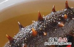 海参怎么样吃好吃又简单 海参怎么样吃好