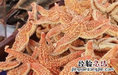 海星的功效与作用及食用方法 海星的功效与作用