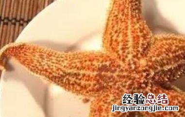 海星的功效与作用及食用方法 海星的功效与作用