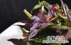 紫背天葵怎么吃好 紫背天葵怎么吃