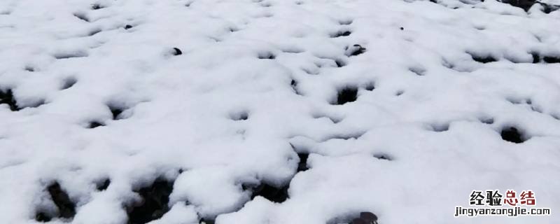 下雪为什么地面不积雪 为什么水泥地不容易积雪