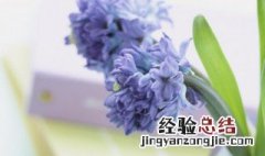 抖音的文艺句子 抖音最流行的文艺说说句子