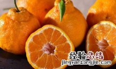 什么叫粑粑柑 粑粑柑的简介