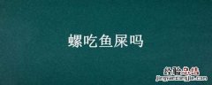 斑马螺吃鱼屎吗 螺吃鱼屎吗