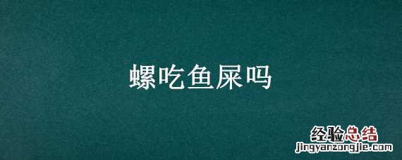斑马螺吃鱼屎吗 螺吃鱼屎吗