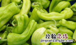 怎么腌青辣椒 腌青辣椒怎么腌