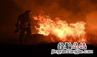 怎么在森林预防火灾 森林防火怎样预防
