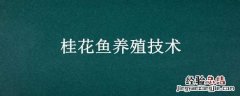 桂花鱼养殖技术 桂花鱼养殖技术及成本