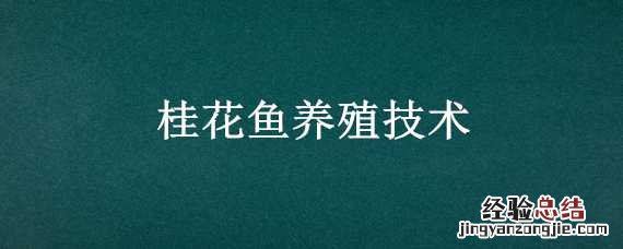 桂花鱼养殖技术 桂花鱼养殖技术及成本