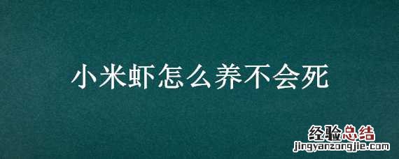 小米虾死了多久不能吃 小米虾怎么养不会死