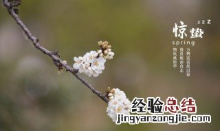 节气惊蛰怎么读 节气惊蛰的读音