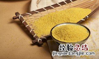 小米是什么农作物 分布在哪些地方
