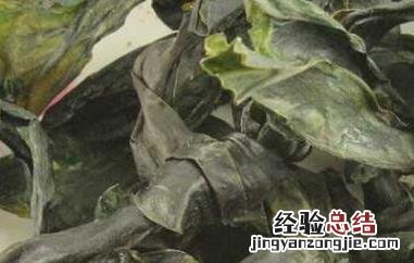 昆布的功效与作用 昆布的功效与作用的功能与主治