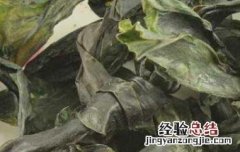 昆布的功效与作用 昆布的功效与作用的功能与主治