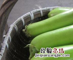 绿茄子的营养价值与功效 绿茄子营养功效与作用