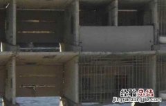兔子养殖场建筑布局 兔子养殖场设计图 建设
