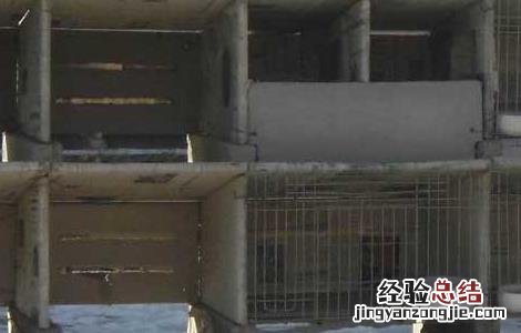 兔子养殖场建筑布局 兔子养殖场设计图 建设