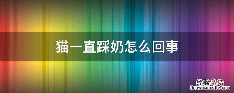 猫一直踩奶怎么办 猫一直踩奶怎么回事