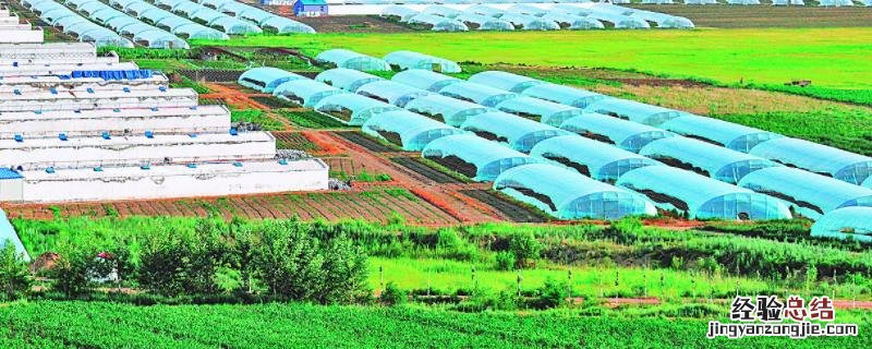 农业技术创新的主要目的是增加单产提高质量,农业技术创新的特点