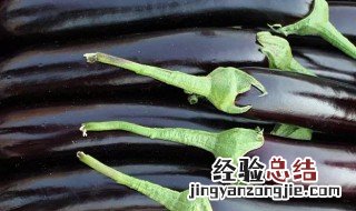 秋天茄子的句子 描写秋天茄子的唯美句子