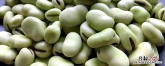 蚕豆是什么豆 蚕豆是什么