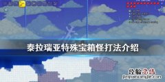 泰拉瑞亚特殊宝箱怪怎么打 泰拉瑞亚的宝箱怪到底有几种