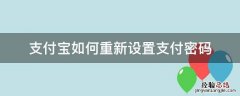 支付宝如何重新设置支付密码 支付宝密码怎么重新设置