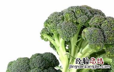 含硒高的食物有哪些 含锌含硒高的食物有哪些