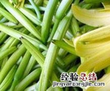 孕妇的饮食禁忌有哪些 孕妇的饮食禁忌