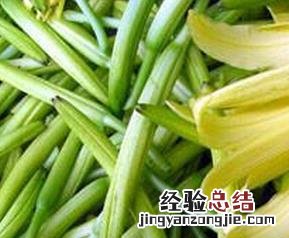 孕妇的饮食禁忌有哪些 孕妇的饮食禁忌