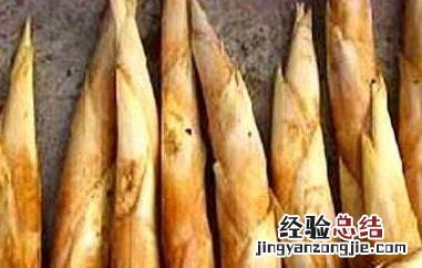 服用鞭笋时的注意事项有哪些 鞭笋的功效与作用禁忌