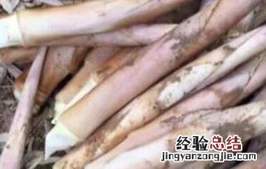 服用鞭笋时的注意事项有哪些 鞭笋的功效与作用禁忌